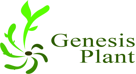 Logo Genesis Plant